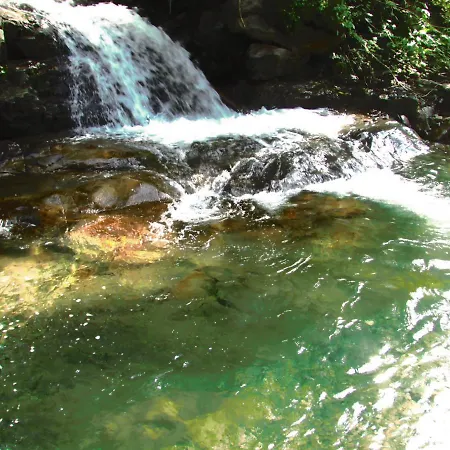 Haus Mittagspitze Pensionat 3*